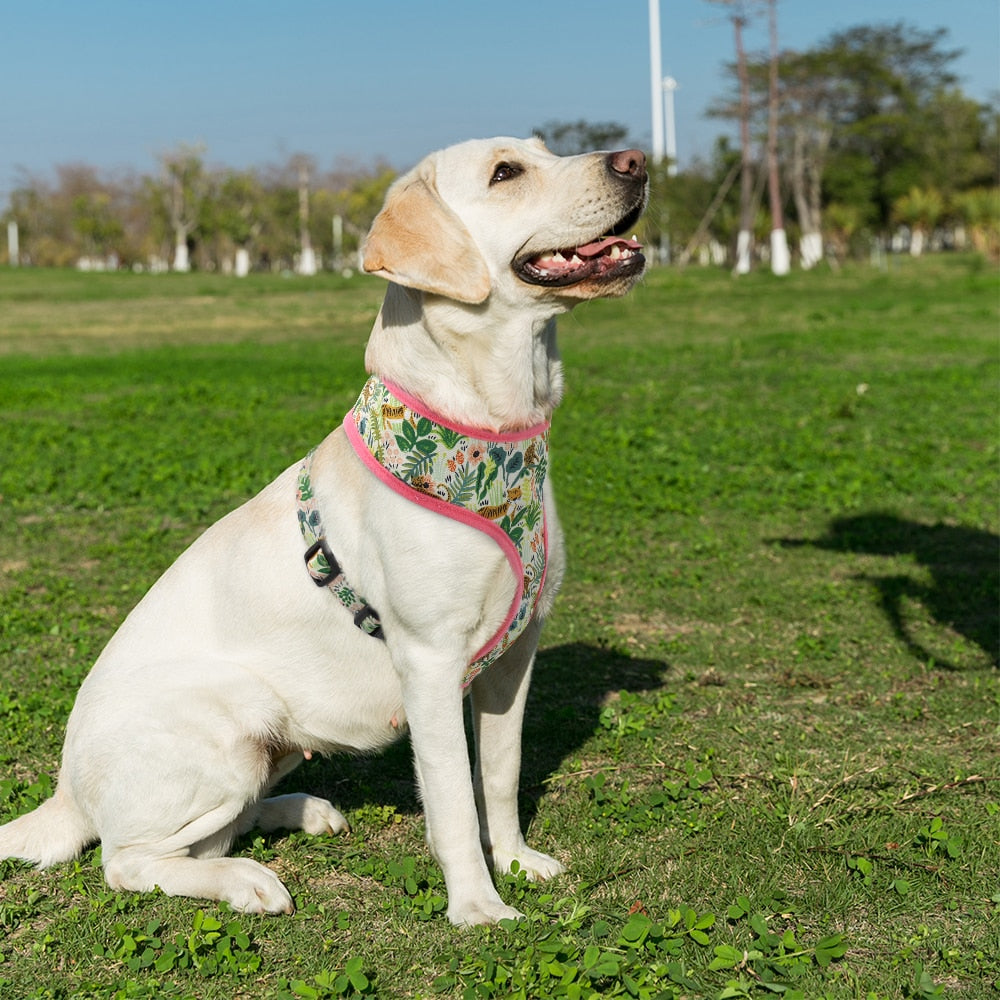 Floral Printed Adjustable Dog Harness