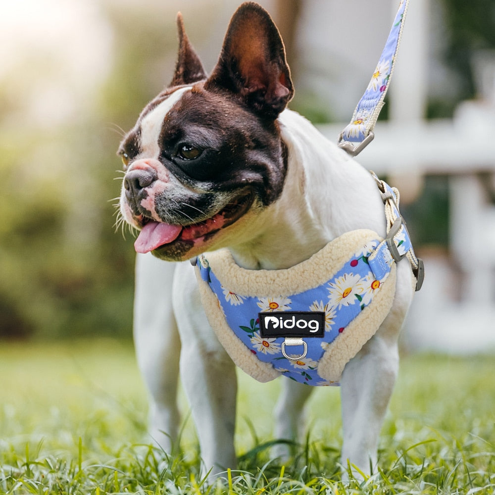 Floral Printed Soft Dog Harness Set