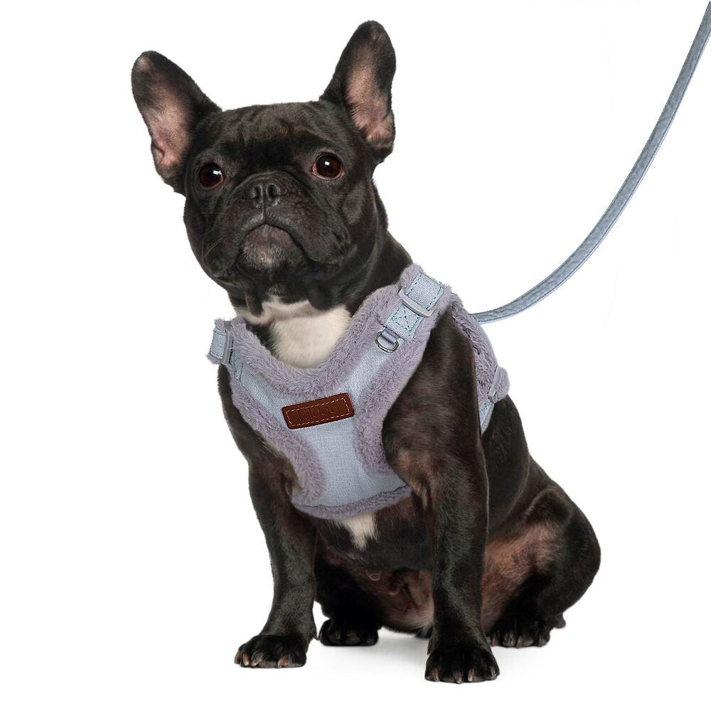 Soft Winter Dog Harness Leash Set