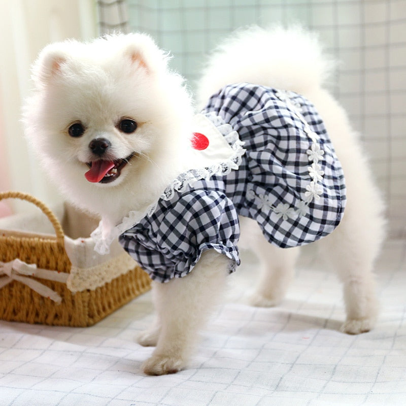 Apple Printed Plaid Dog Cat Dress