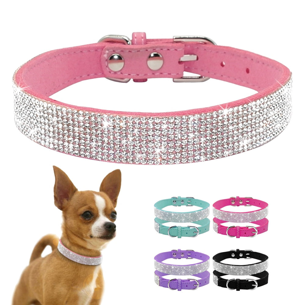 Crystal Buckled Dog Collar