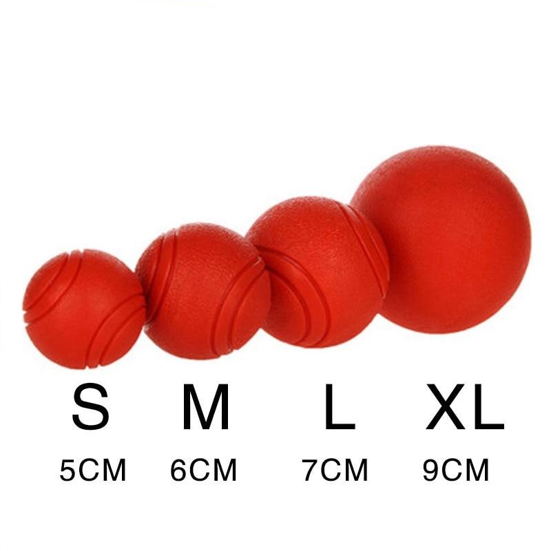 Bite-resistant Rubber Ball Dog Toy