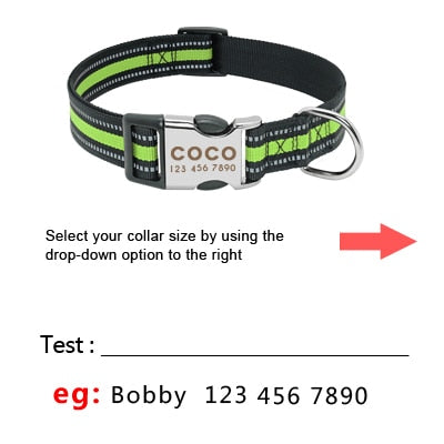 Dog Collar With Personalized ID Tag