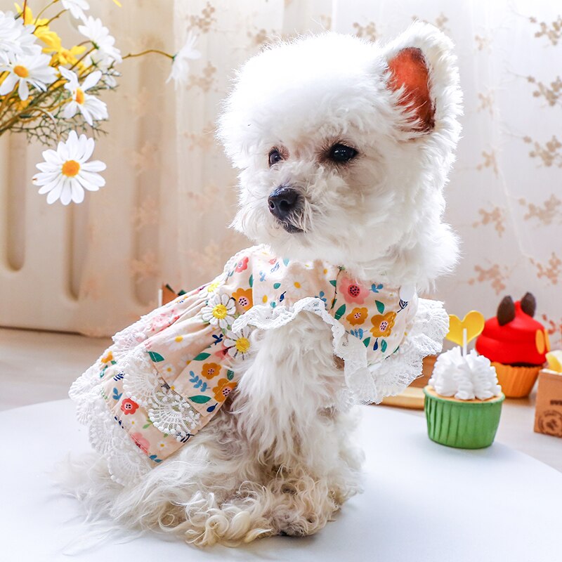 Floral Lace Design Dog Cat Dress