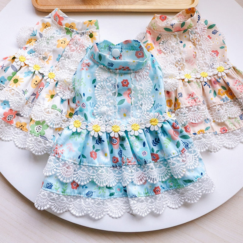 Floral Lace Design Dog Cat Dress