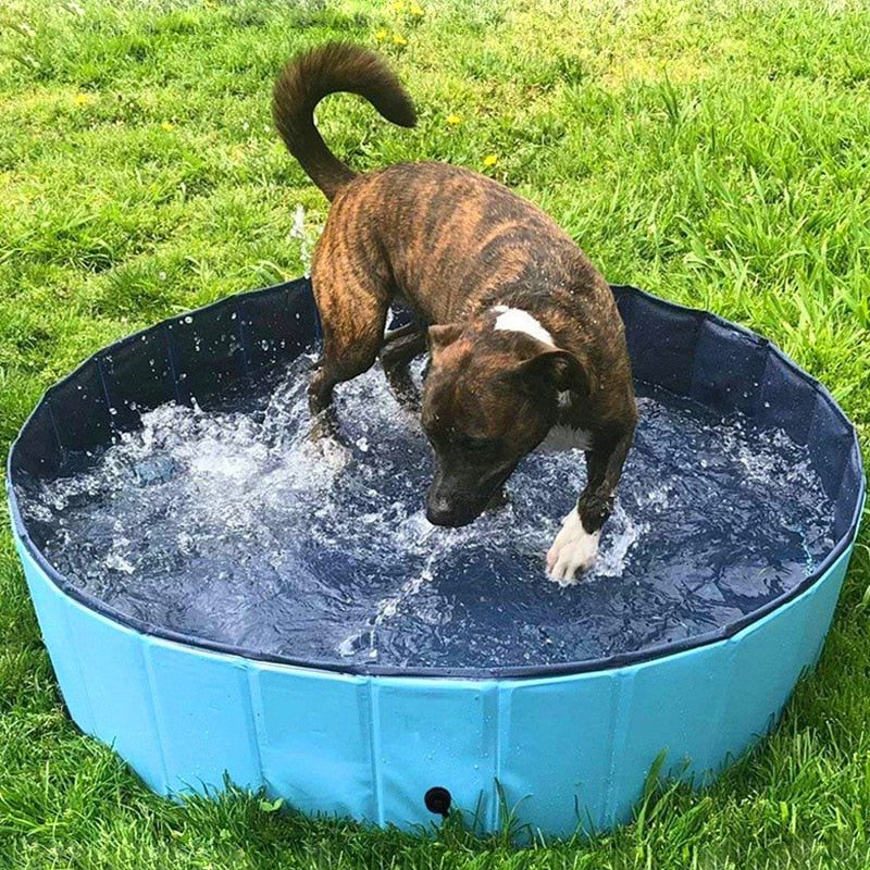 Foldable Swimming Pool For Dog