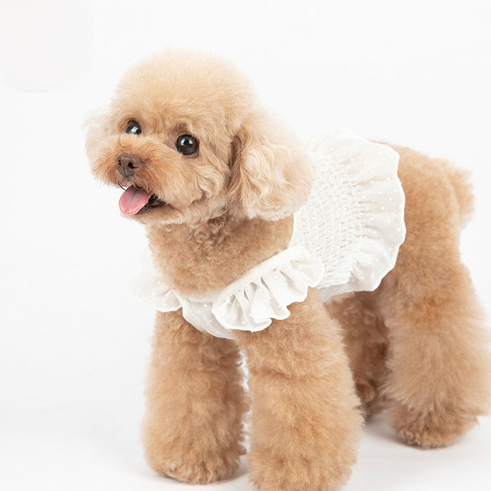 Chiffon Polka Dot Puppy Clothes