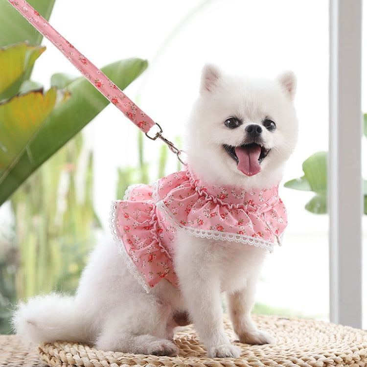 Floral Lace Dog Harness With Leash