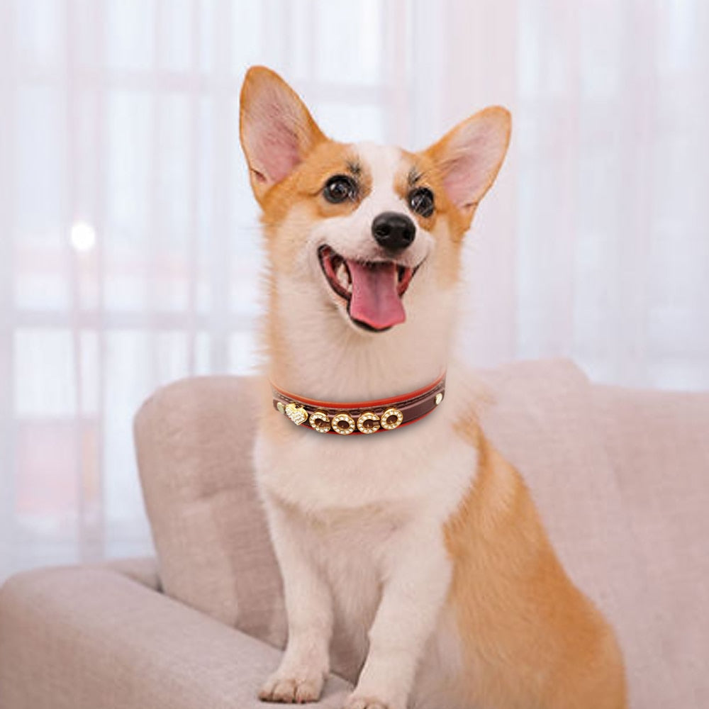 Personalized Rhinestone Dog Cat Collar