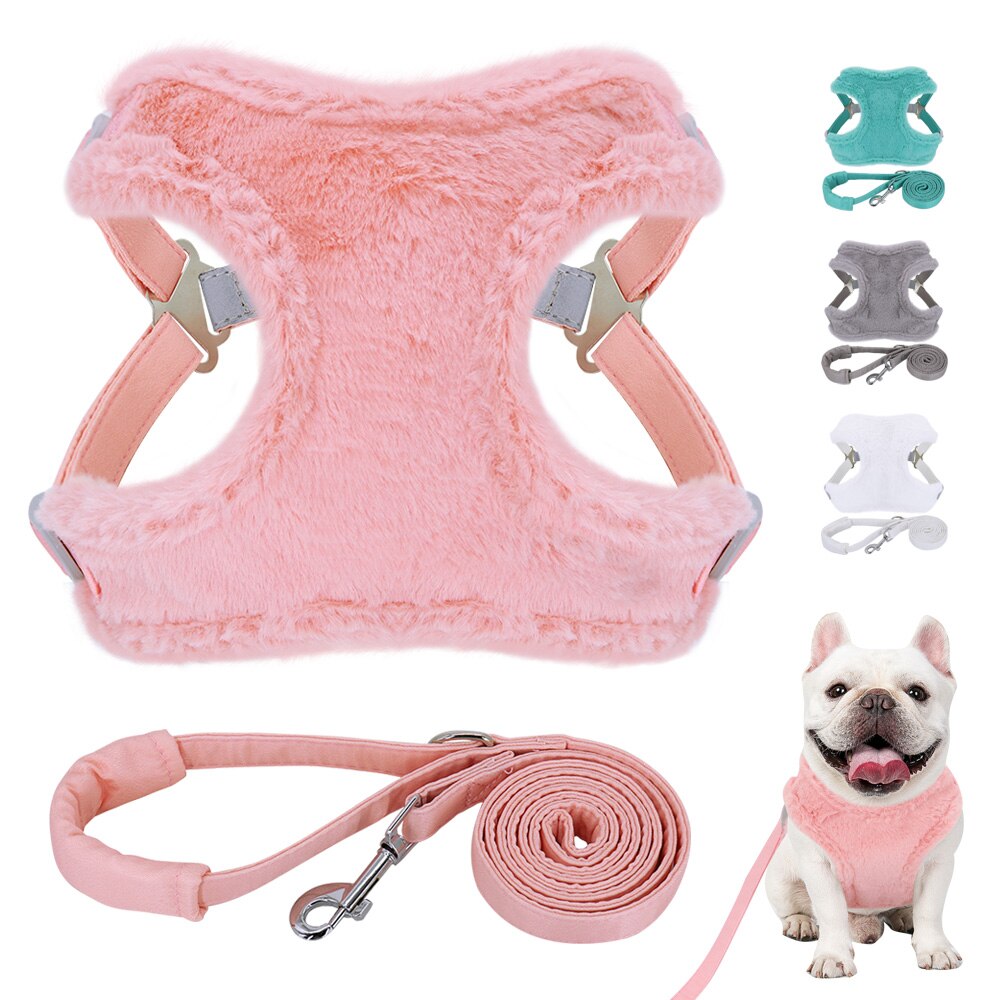 Soft Padded Dog Harness Leash Set