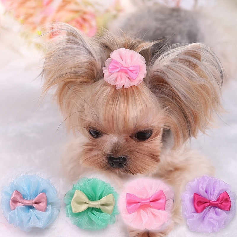 Cute Bowknot Cat Dog Hairpin