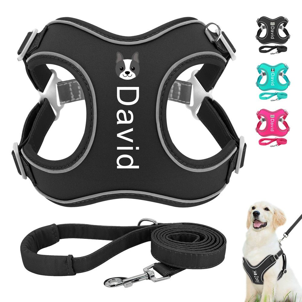 Name Custom Dog Harness Leash Set