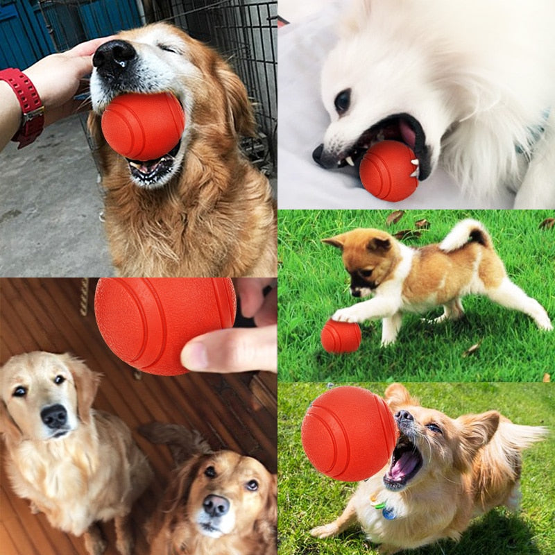 Bite-resistant Rubber Ball Dog Toy