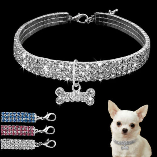 Bling Bone Shaped Dog Collar