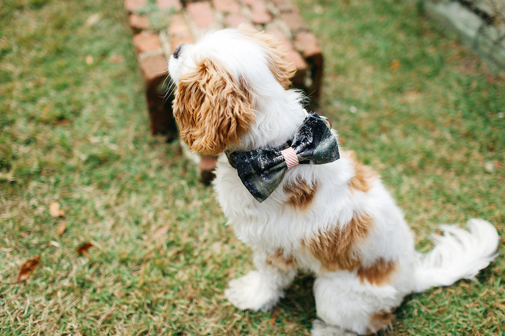 Preppy Sporting Pup Camo And Orange Seersucker Bow Tie Dog Collar