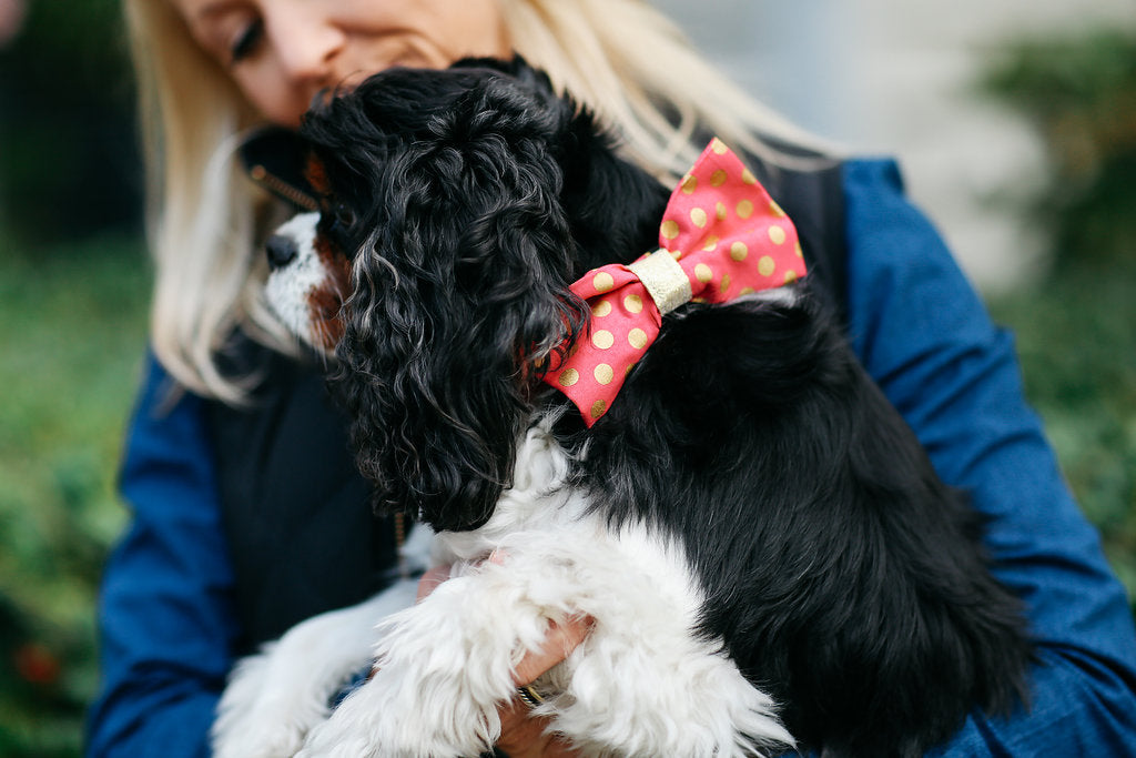 Valentine’s Day Pink And Gold Polka Dot Dog Bow Tie Collar